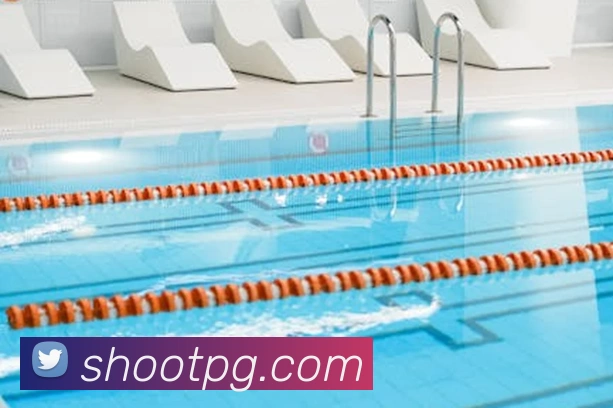 pg官网平台生态图